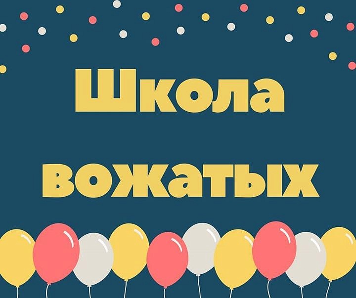 Проект школа вожатых